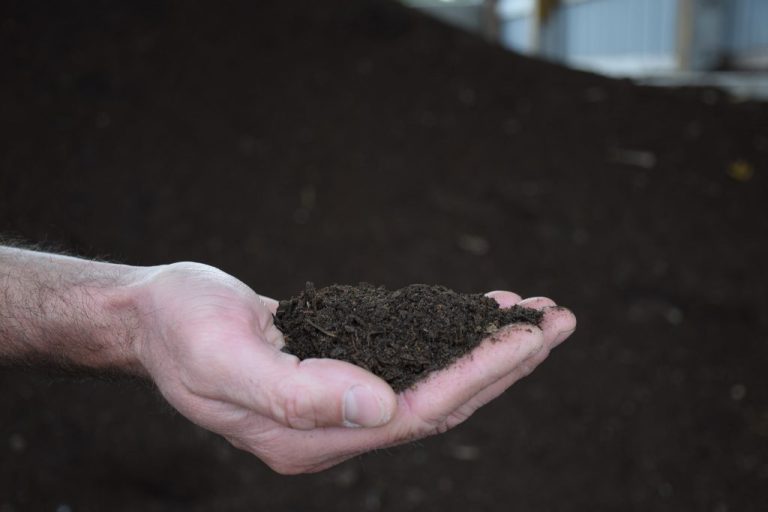 Manure (Compost)